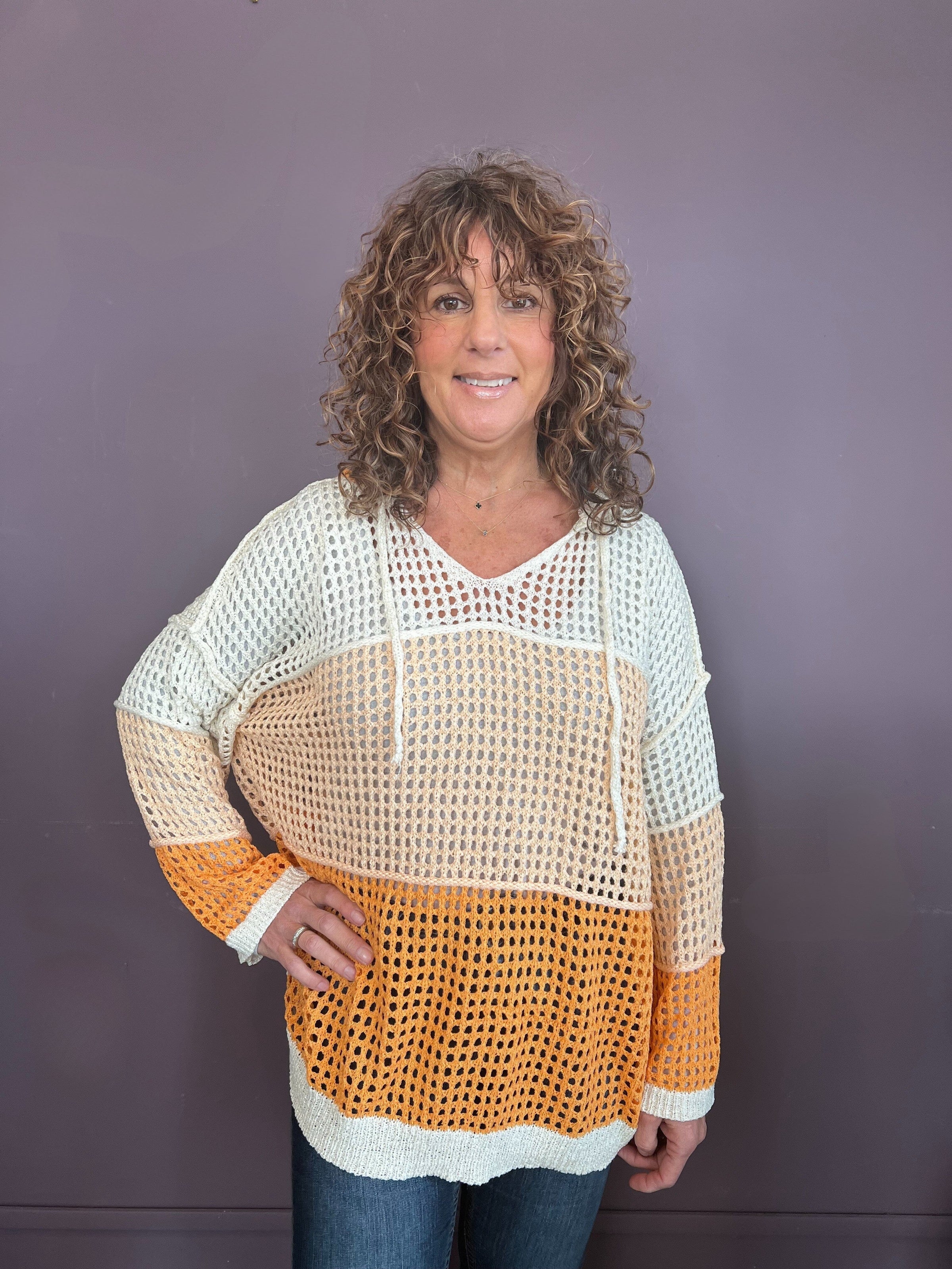 Open Knit Hood Sweater Top