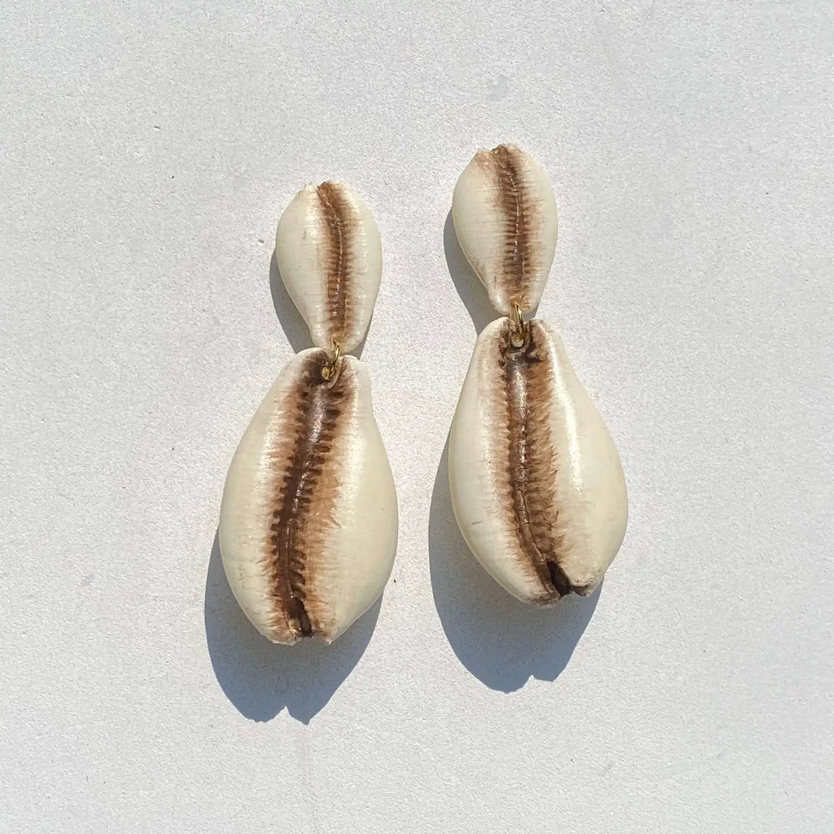 Post Cowrie Shell Earrings by xoxo,bijou in cream with brown detailing