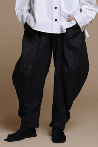 J19  Zari Pant